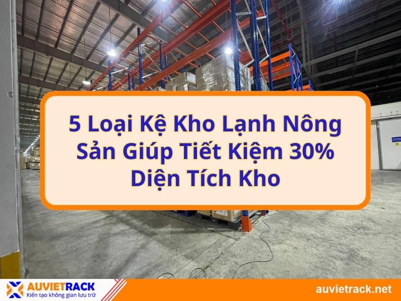 5 Loại kệ kho lạnh nông sản giúp tối ưu 30% diện tích kho
