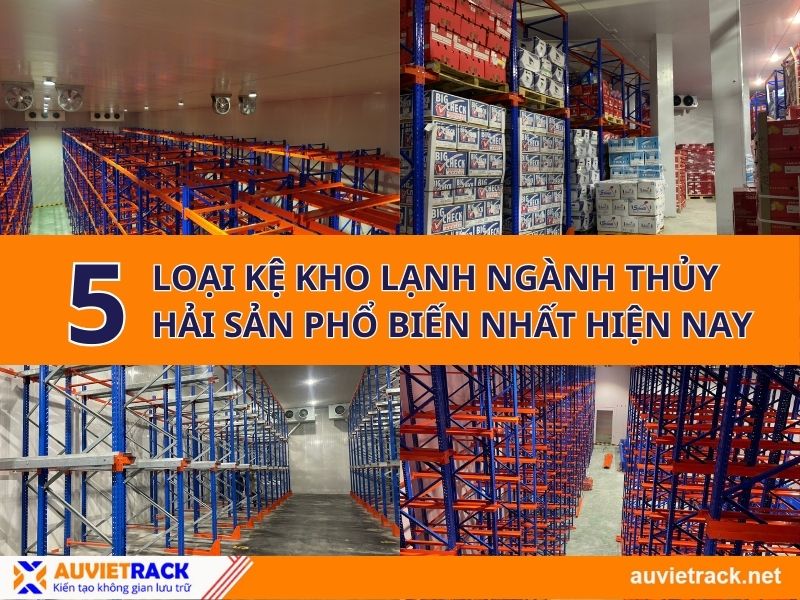 Top 5 loại kệ kho lạnh ngành thủy hải sản phổ biến nhất hiện nay