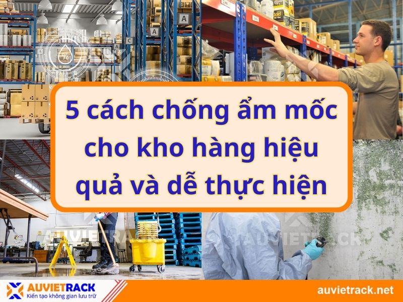 5 cách chống ẩm mốc cho kho hàng hiệu quả và dễ thực hiện