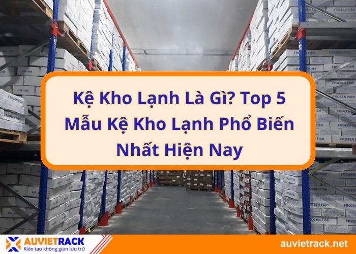 Kệ kho lạnh là gì? Top 5 mẫu kệ kho lạnh phổ biến nhất hiện nay