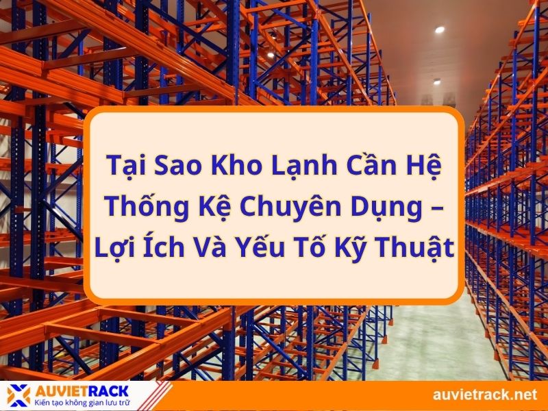 Tại Sao Kho Lạnh Cần Hệ Thống Kệ Chuyên Dụng – Lợi Ích Và Yếu Tố Kỹ Thuật