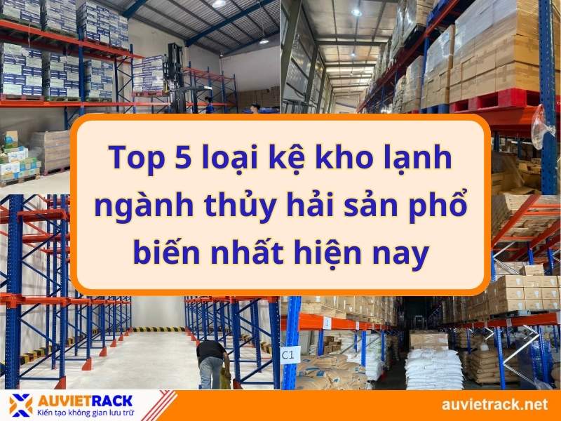 Top 5 loại kệ kho lạnh ngành thủy hải sản phổ biến nhất hiện nay
