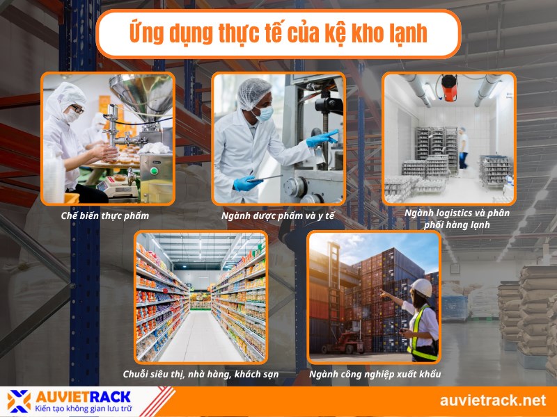 ứng dụng thực tế của kệ kho đông lạnh